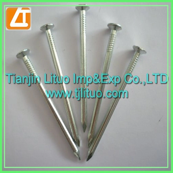 Electro Galvanized Twisted Shank Concrete Nails