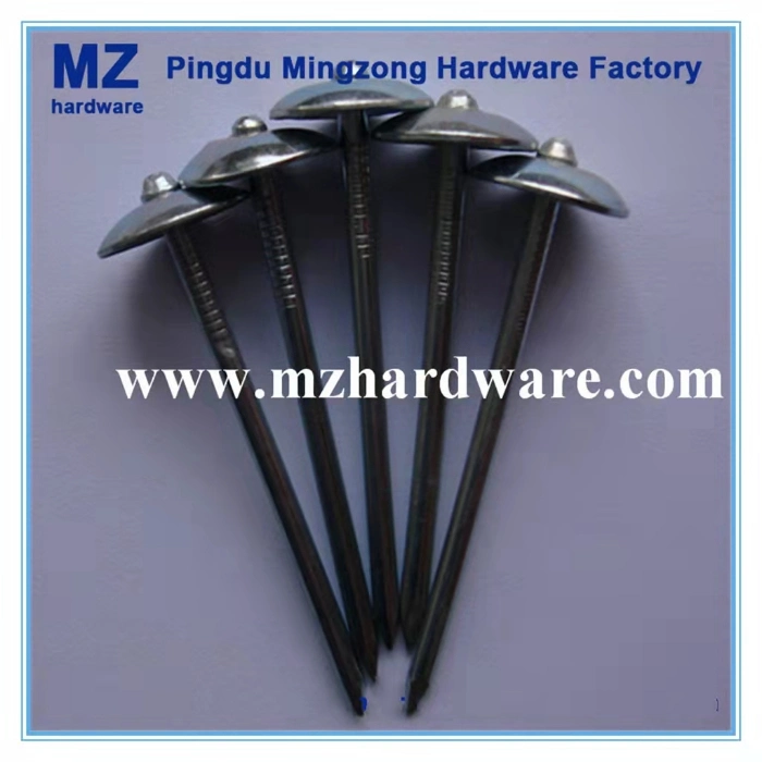 China Bwg9*2.5&quot; Twisted Shank Roofing Nail