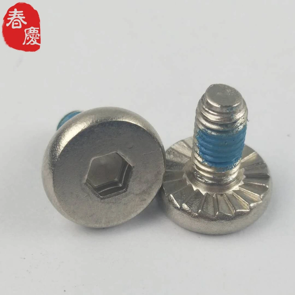 Special Flat Hex Socket Head Male and Female Chicago Screws with Serration