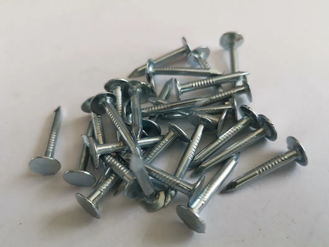 Best Selling Q195/Q235 Galvanized Clout Nail for Building