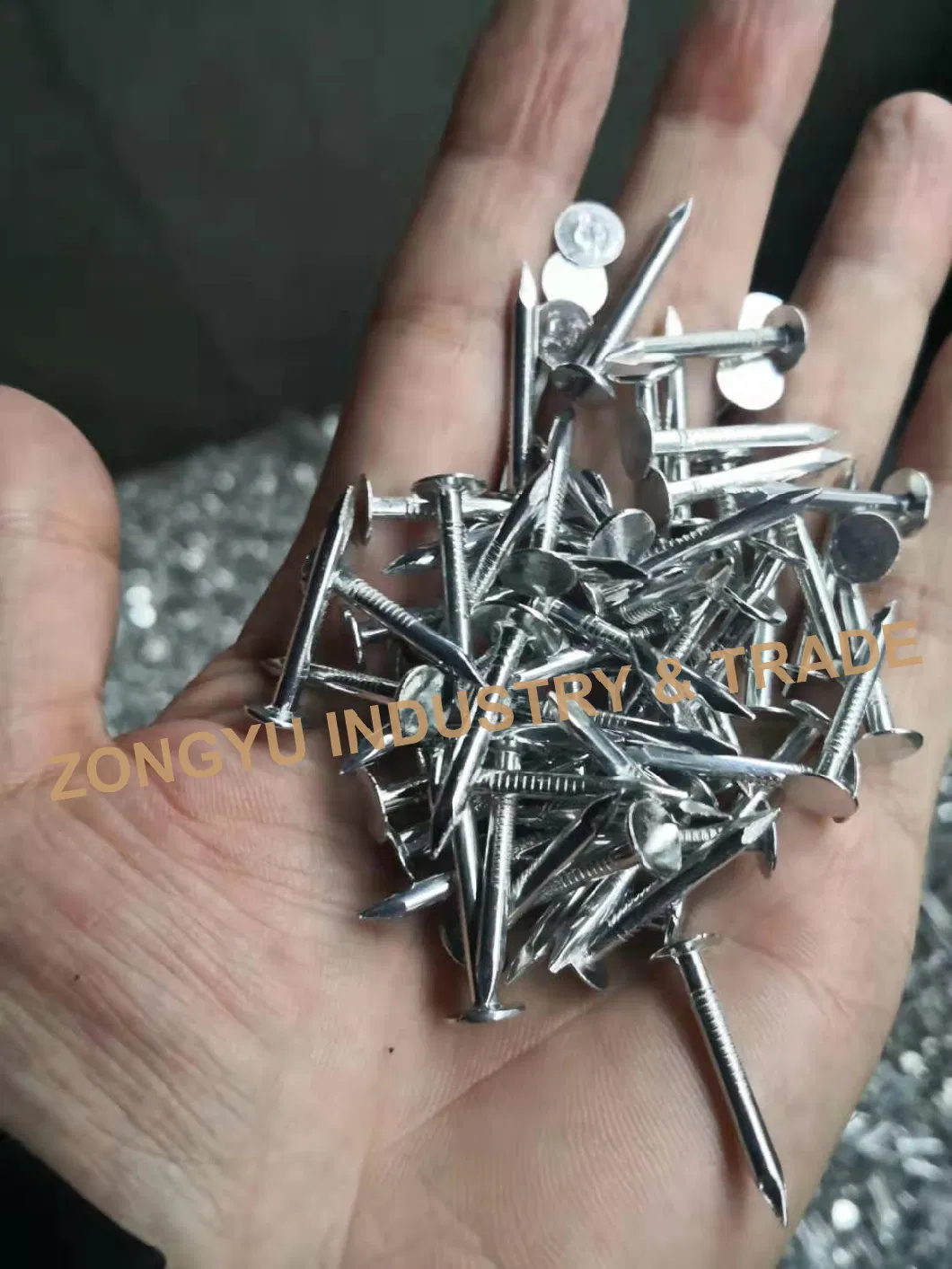 Hot Dipped Galvanised Large Flat Head Nail