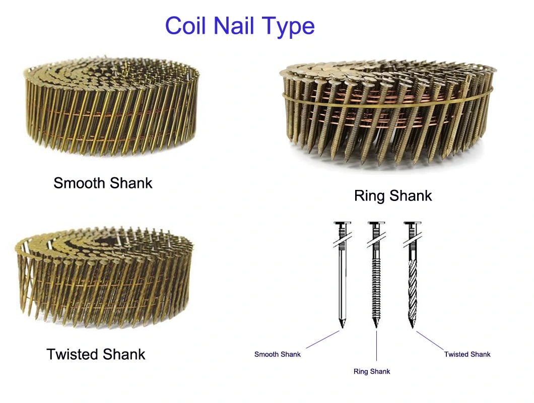 High Quality Reasonable Price Galvanized Smooth Shank Coli Nails