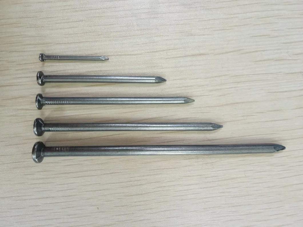 Common Round Iron Wire Nails Factory