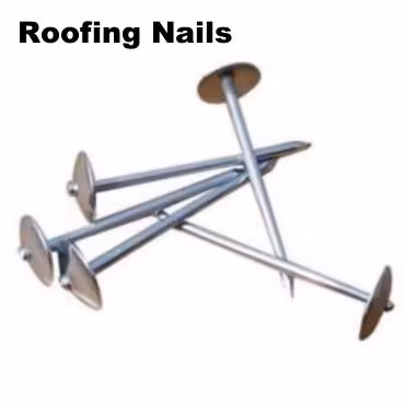 Electro/Hot Dipped Galvanized Concrete Steel Nail Wire Nail