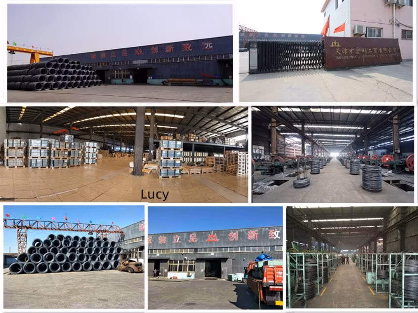 1/2&quot;-6&quot; E. G Concrete Nails/Steel Nails /Hard Nails/ Masonry Nails