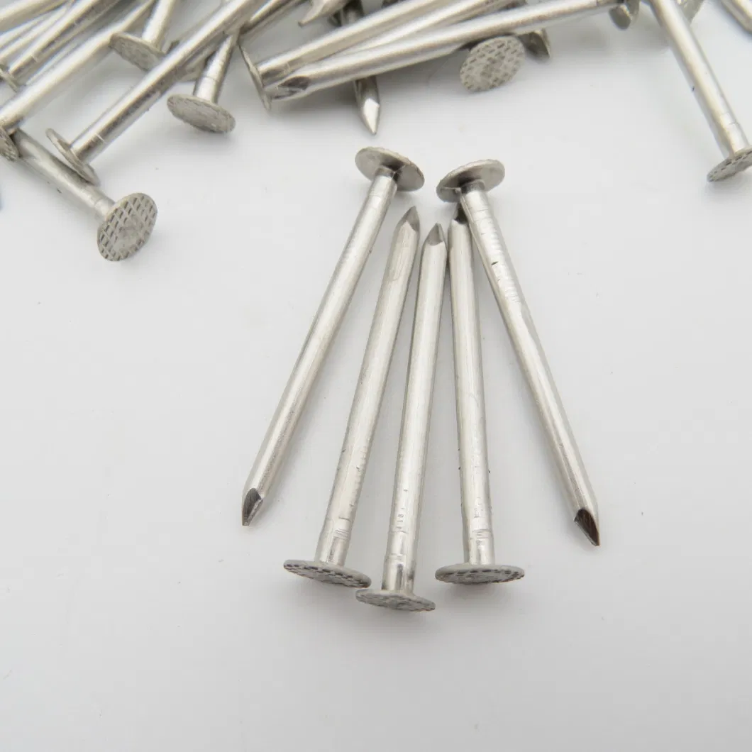 304 Stainless Checkered Head Clout Roofing Nails