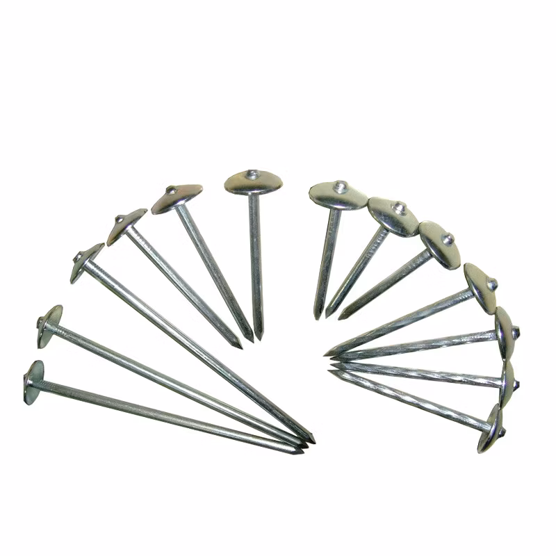 Zinc Coated Galvanize Hardware Tools Roofing Nails with Umbrella Head