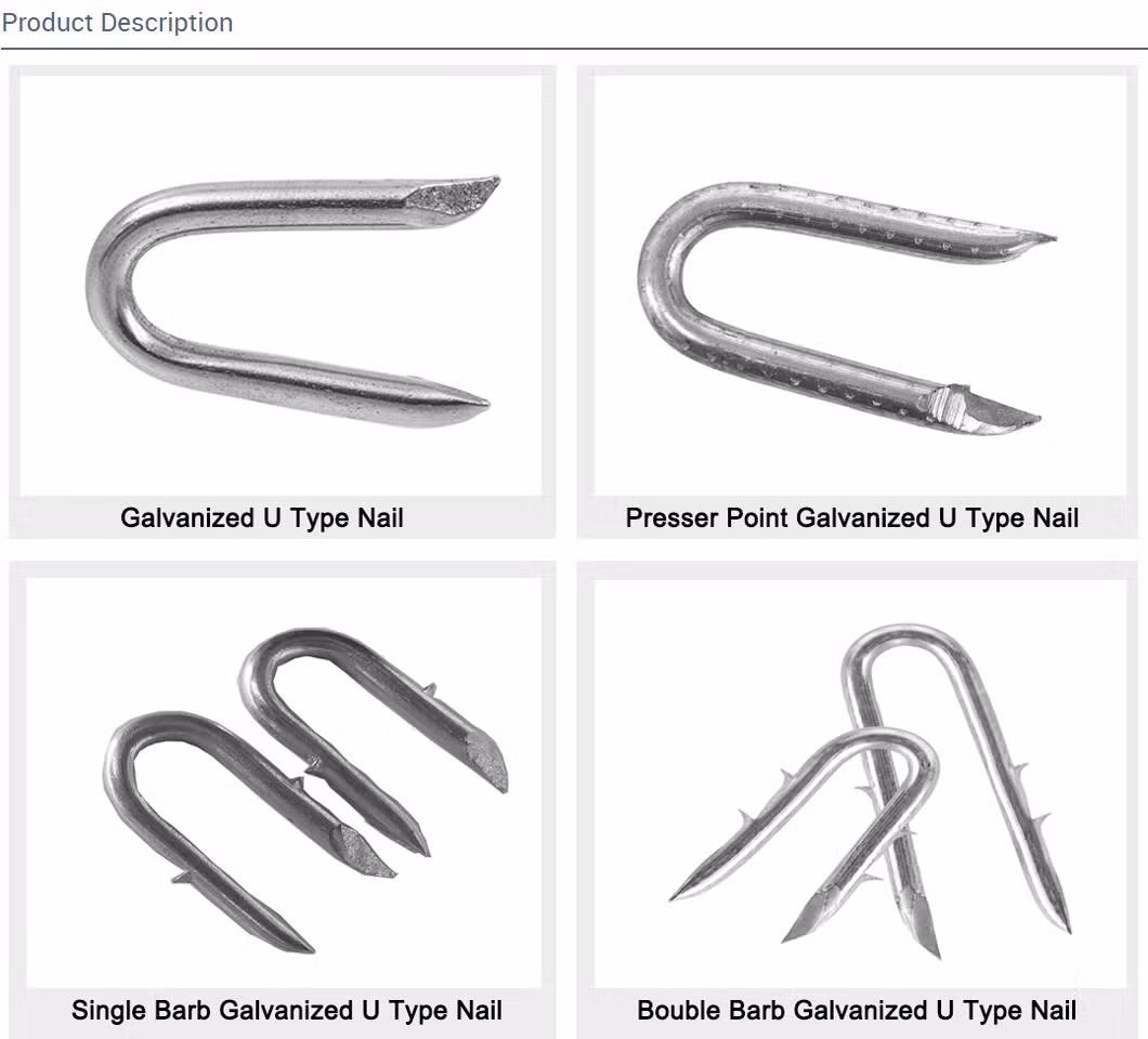 3/4&prime;&prime; Hot Sale Bright or Galvanized Double Thorn Poultry Netting Staples Nails