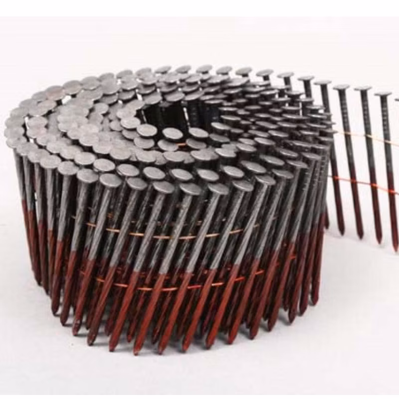 Wire Pallet Coil Nails 2-1/4&prime;&prime;x. 099&prime;&prime; Hot DIP Galvanized Coating