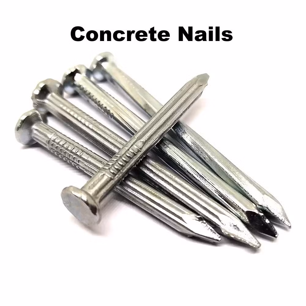 Umbrella Head Roofing Nails Hardwire Nail with Best Price