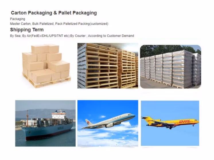 OEM Concrete Nail High Strength Fastener Cement Nail