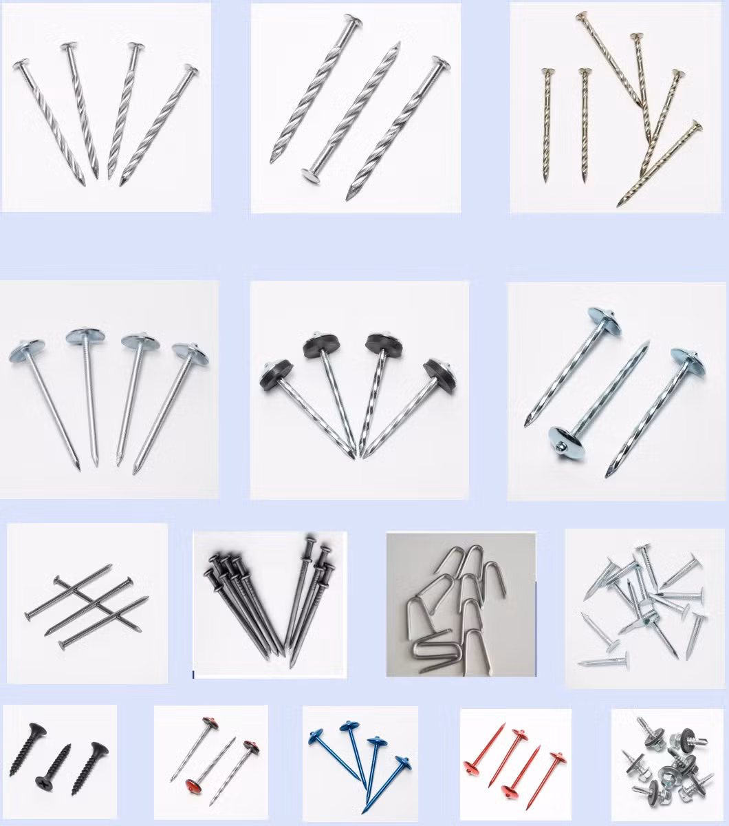 Professional Machine Production Umbrella Head Roofing Nails