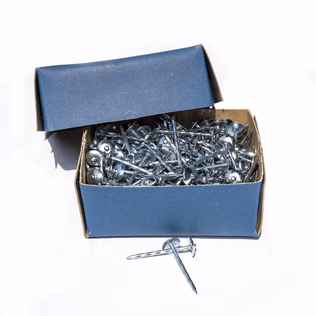 New Material Factory Lower Price Polished 1 - 6&quot; Common Wire Iron Nails