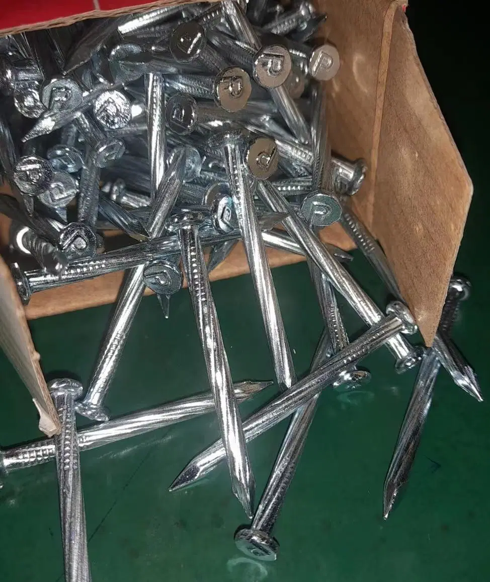 2.5kg/Box 8boxes/CTN Galvanized Umbrella Head Roofing Nails