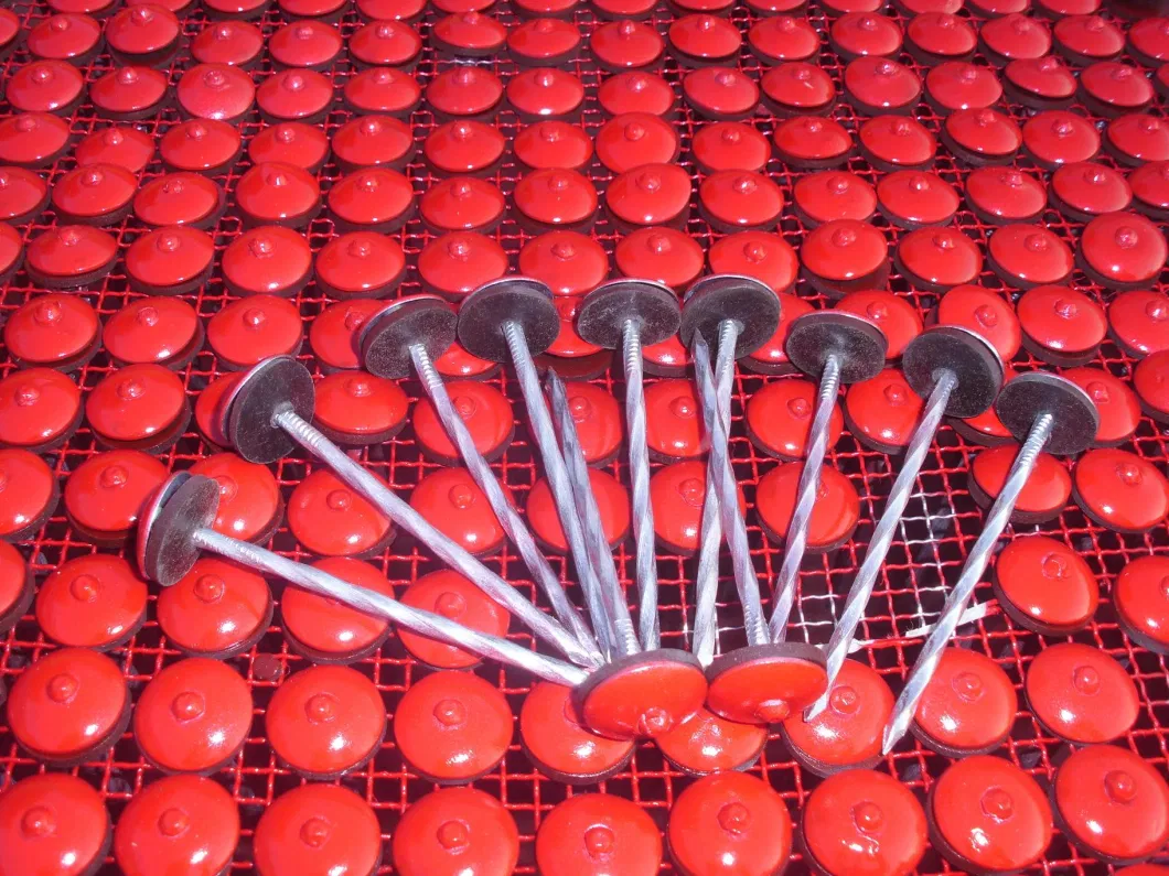 2.5kg/Box 8boxes/CTN Galvanized Umbrella Head Roofing Nails