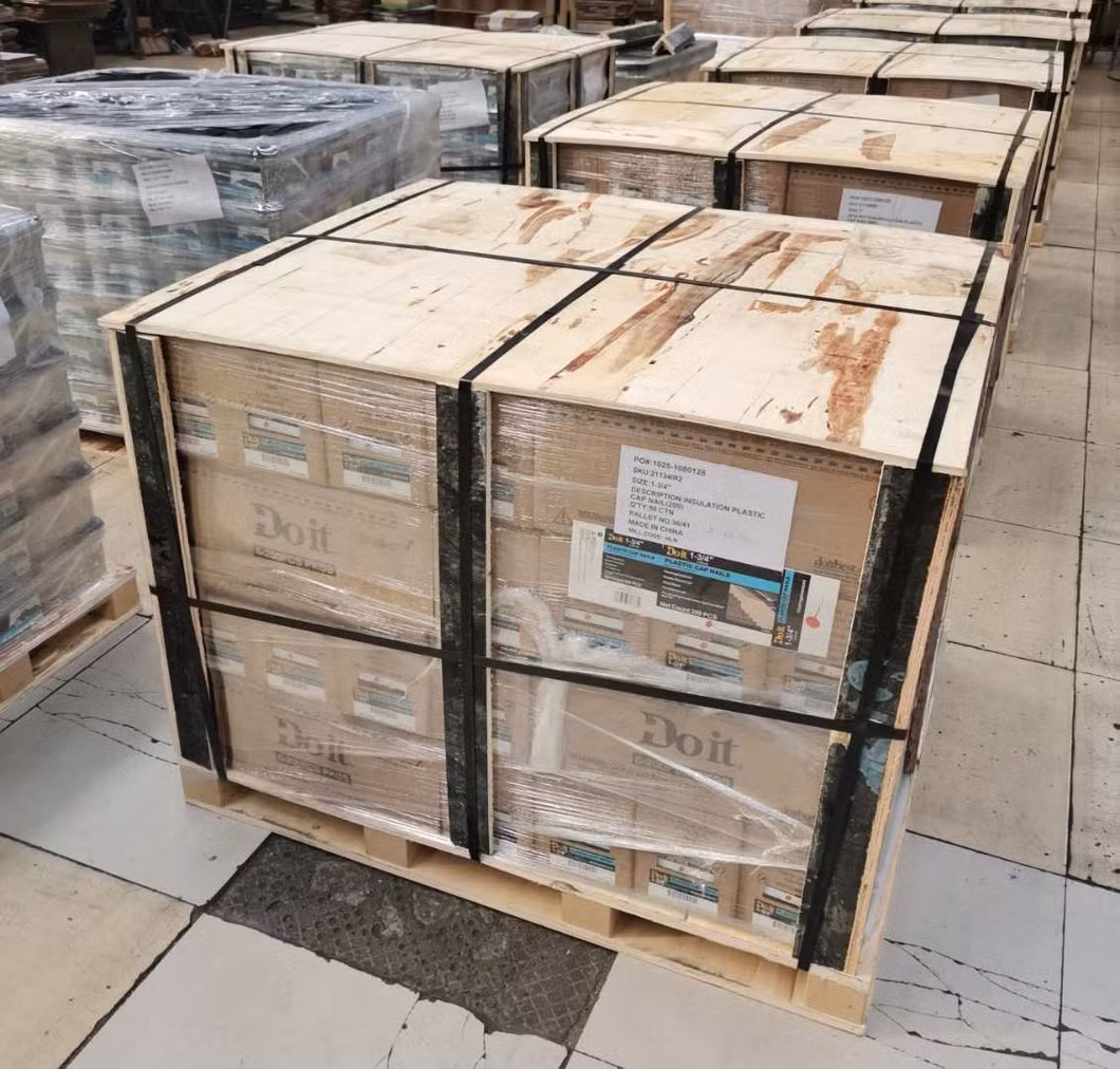1/2&quot;-6&quot; E. G Concrete Nails/Steel Nails /Hard Nails/ Masonry Nails