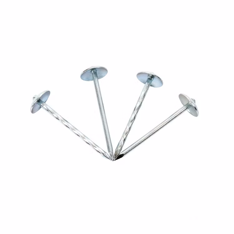 Galvanized Umbrella Head Roofing Building Decoration Renovation Nails