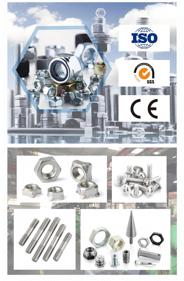 DIN912 with Serrated Stainless Steel A2 SS304 SS316 Hexagon Socket Head Cap Screw