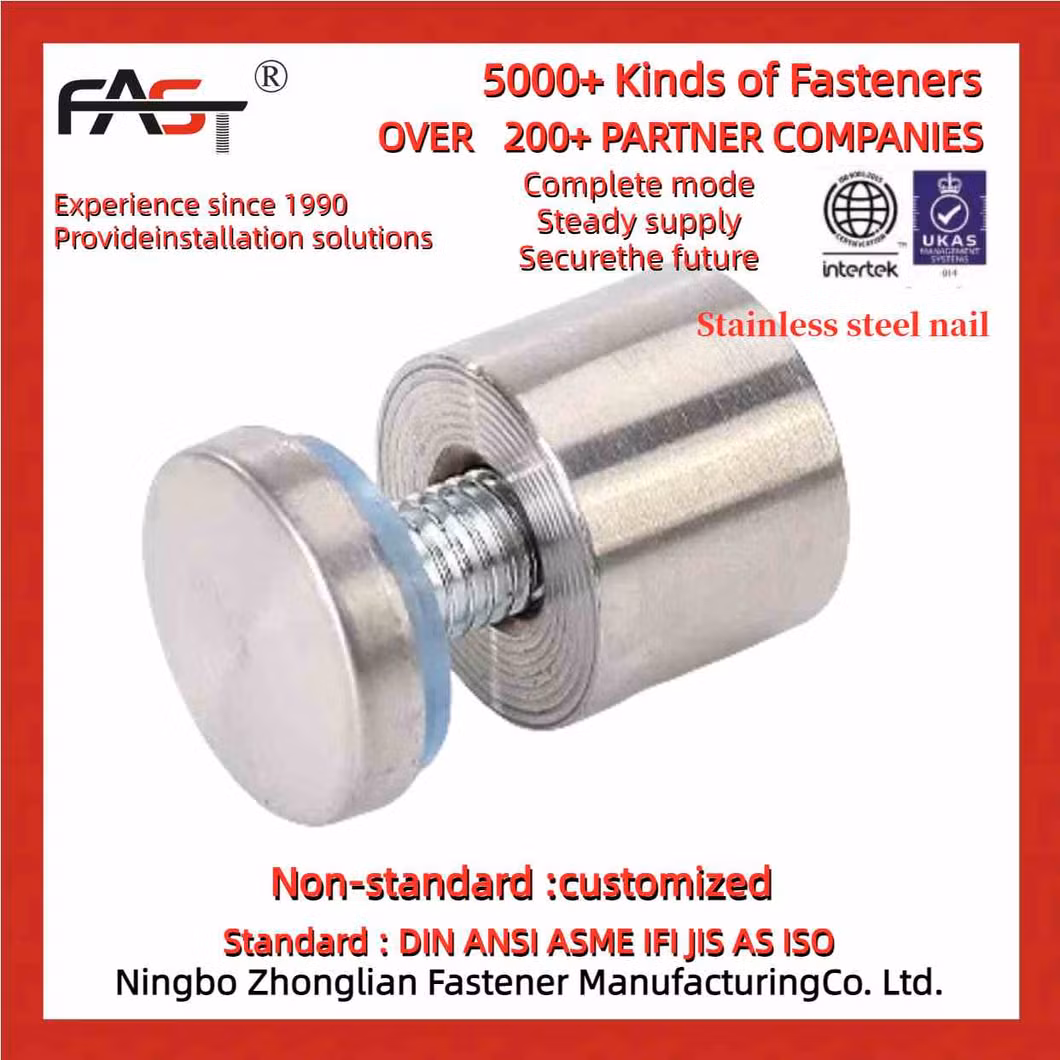 Professional-Grade Stainless Steel Nail for High-Impact Advertising