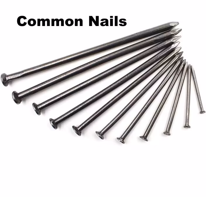 Electro/Hot Dipped Galvanized Concrete Steel Nail Wire Nail