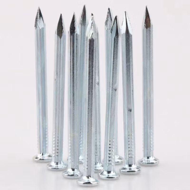 1/2&quot;-6&quot; E. G Concrete Nails/Steel Nails /Hard Nails/ Masonry Nails