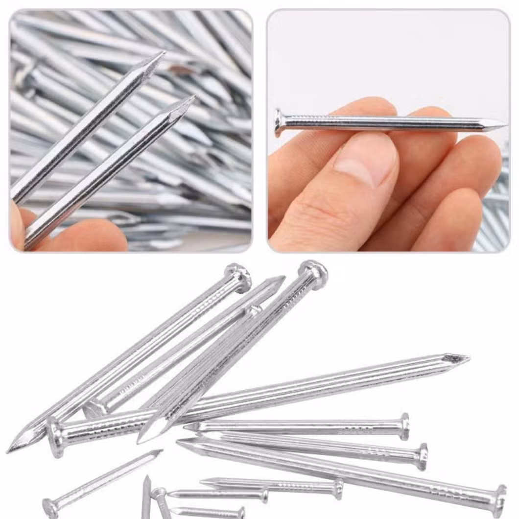 1/2&quot;-6&quot; E. G Concrete Nails/Steel Nails /Hard Nails/ Masonry Nails