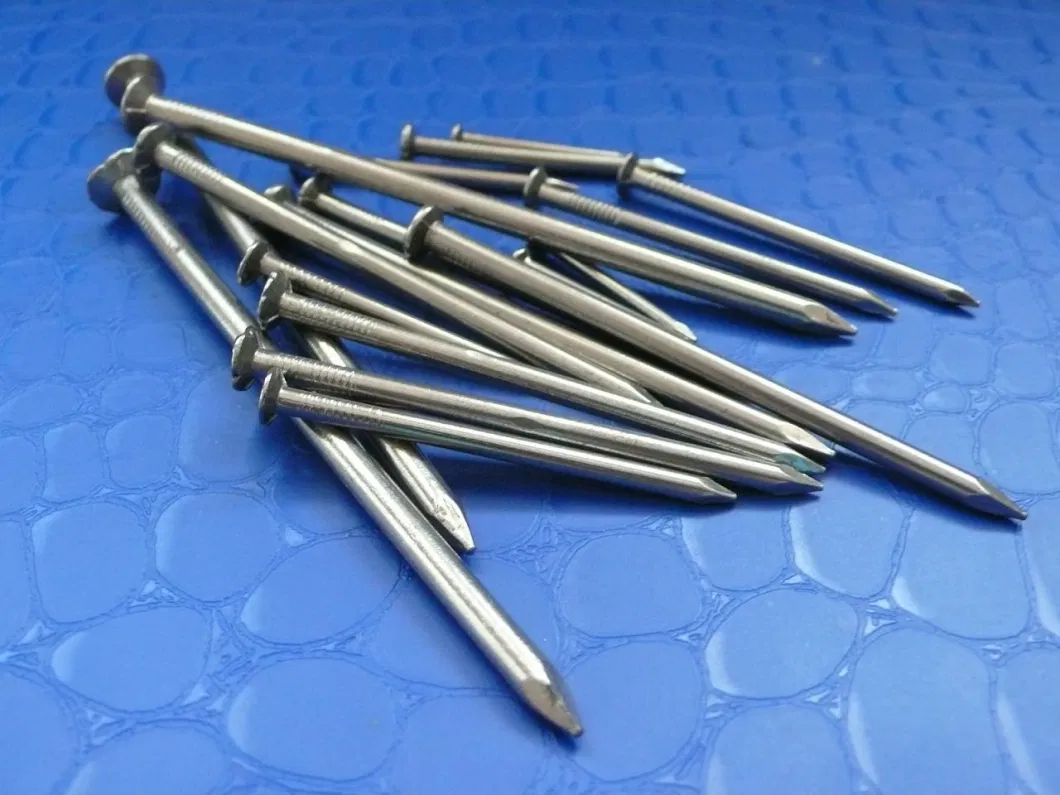 High Quality Galvanized Common Wire Nails for Wood