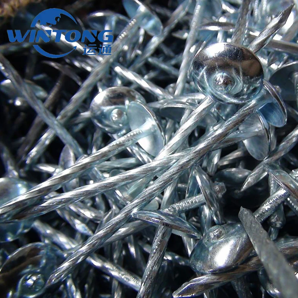 Ring / Q195 / Color Galvanized / Roofing Nails/Hot-DIP Galvanized /9bwg/Corrugated Nails