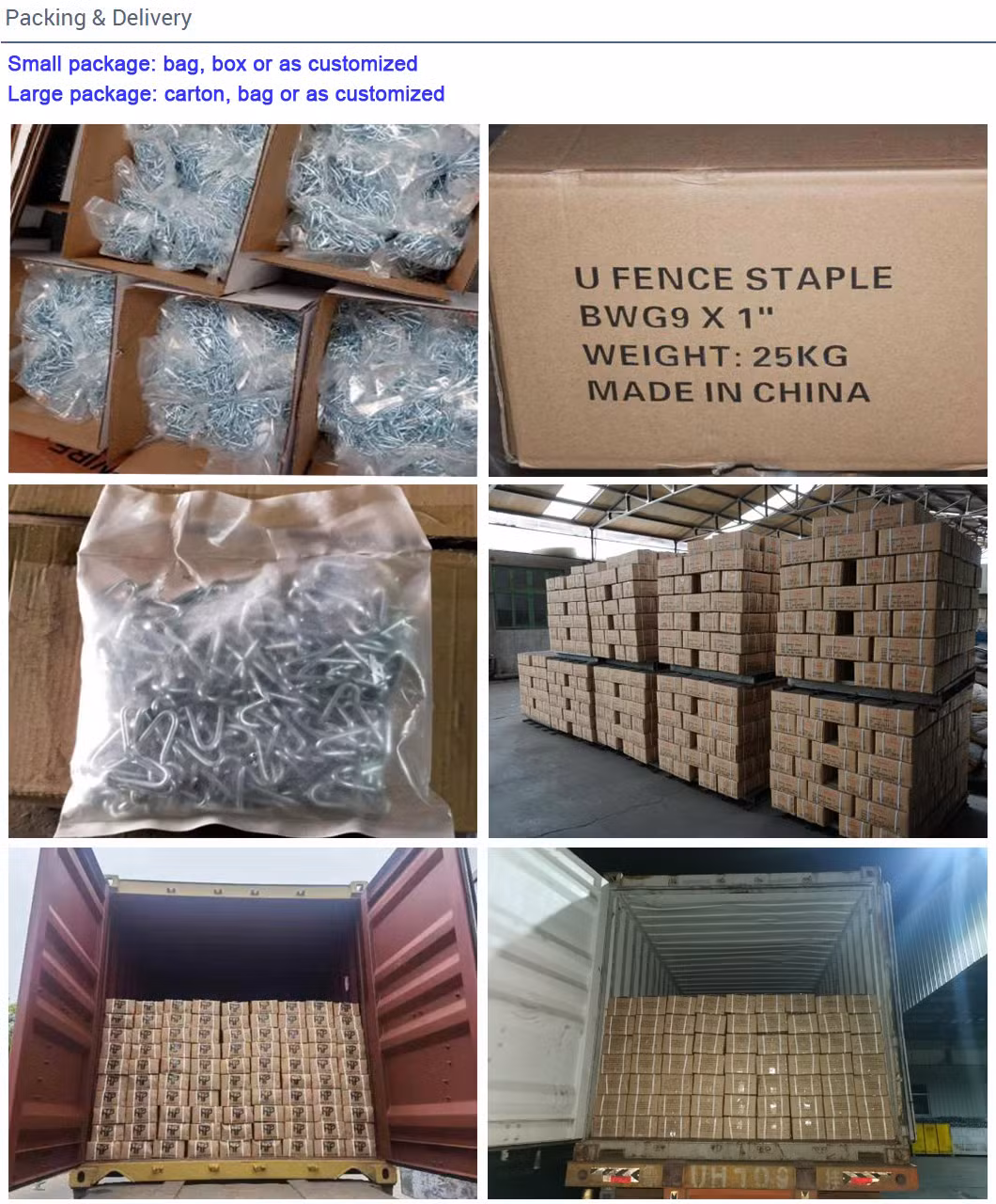 3/4&prime;&prime; Hot Sale Bright or Galvanized Double Thorn Poultry Netting Staples Nails