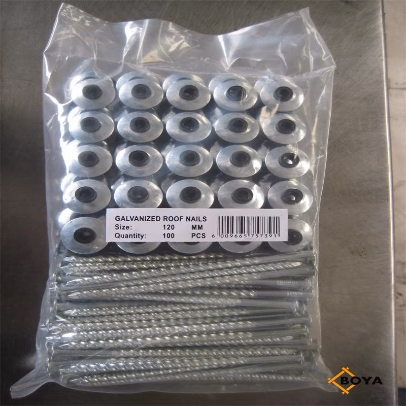 Galvanized Straight Rod Corrugated Nail From Factory