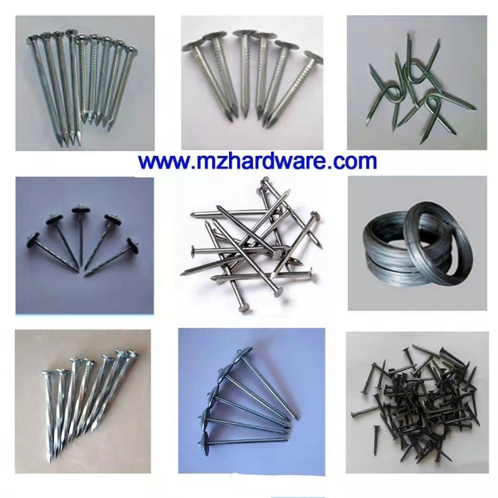 Umbrella Head Roofing Nail/Blue and White Zinc Plated/Color Zinc Corrugated Nails