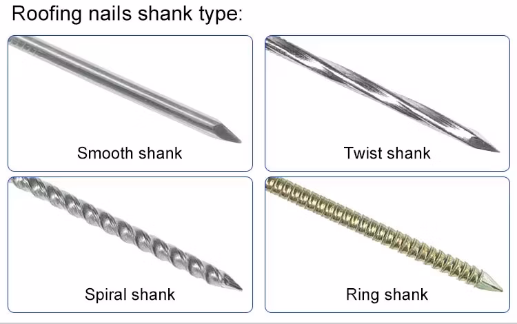 Smooth Galvanized Corrugated Umbrella Roofing Nails for Roof