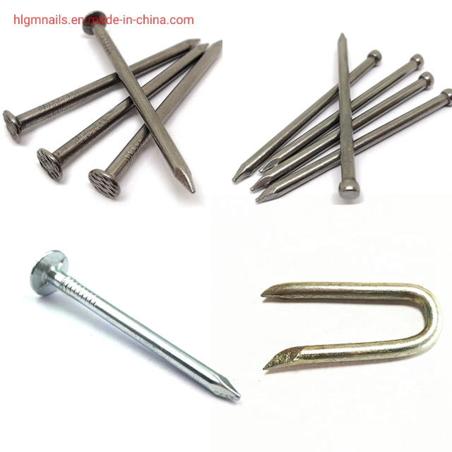 Cheap Common Nail/Steel Nail /Iron Nail/ Wire Nail/Coil Nails/Concrete Nails/Roofing Nails/ Pallet Nails/Hardware/Framing Nails/Spiral Nails