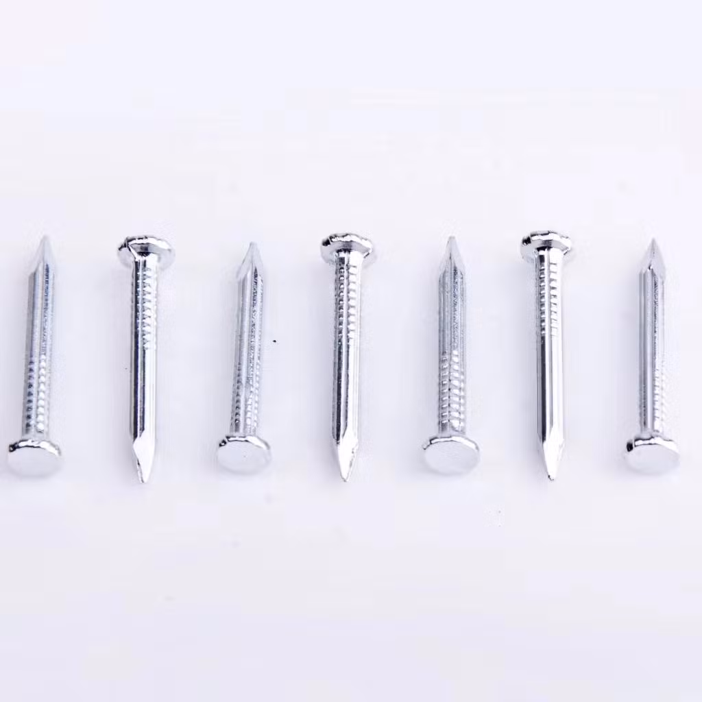Electro/Hot Dipped Galvanized Concrete Steel Nail Wire Nail