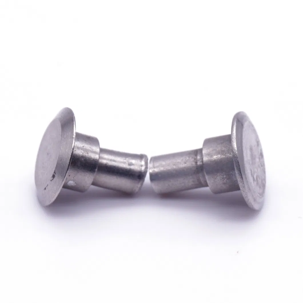 ISO 9001 Environmental Stainless Steel Customized Rivet with Passivate Plate