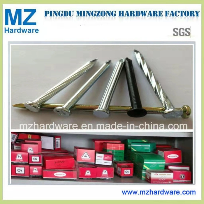 45# 9g 10g 12g 3/4&quot; 1&quot; 1.5&quot; 2&quot; 2.5&quot; 3&quot; High Quality Carbon Steel /Concrete Steel /Iron /Polished Wire /Common Round/Metal Nail for Building Construction