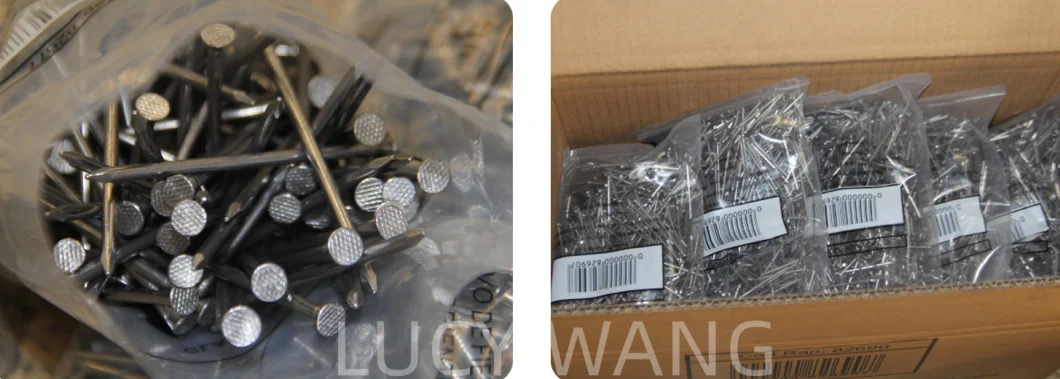 50*3.0mm Black Ring Shank Nails with 5kg Box for Africa