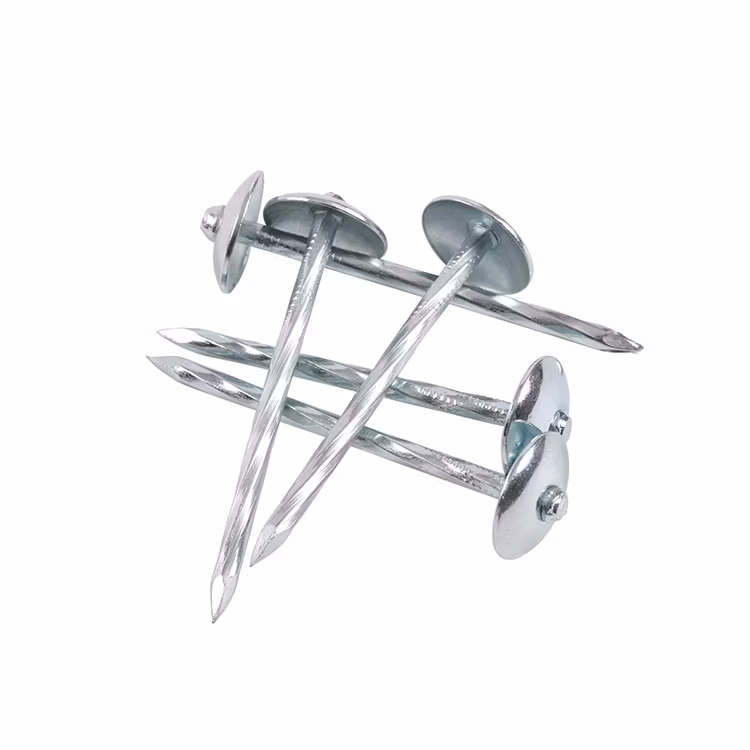 Big Umbrella Head Roofing Nail with Smooth/Twist Shank