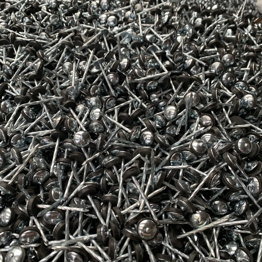 Manufacturer Factory Price Umbrella Head Twisted Roofing Nails with Rubber Washer