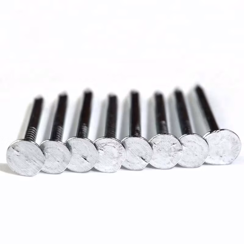 Large Flat Head Zinc Coated Copper Clout Nails