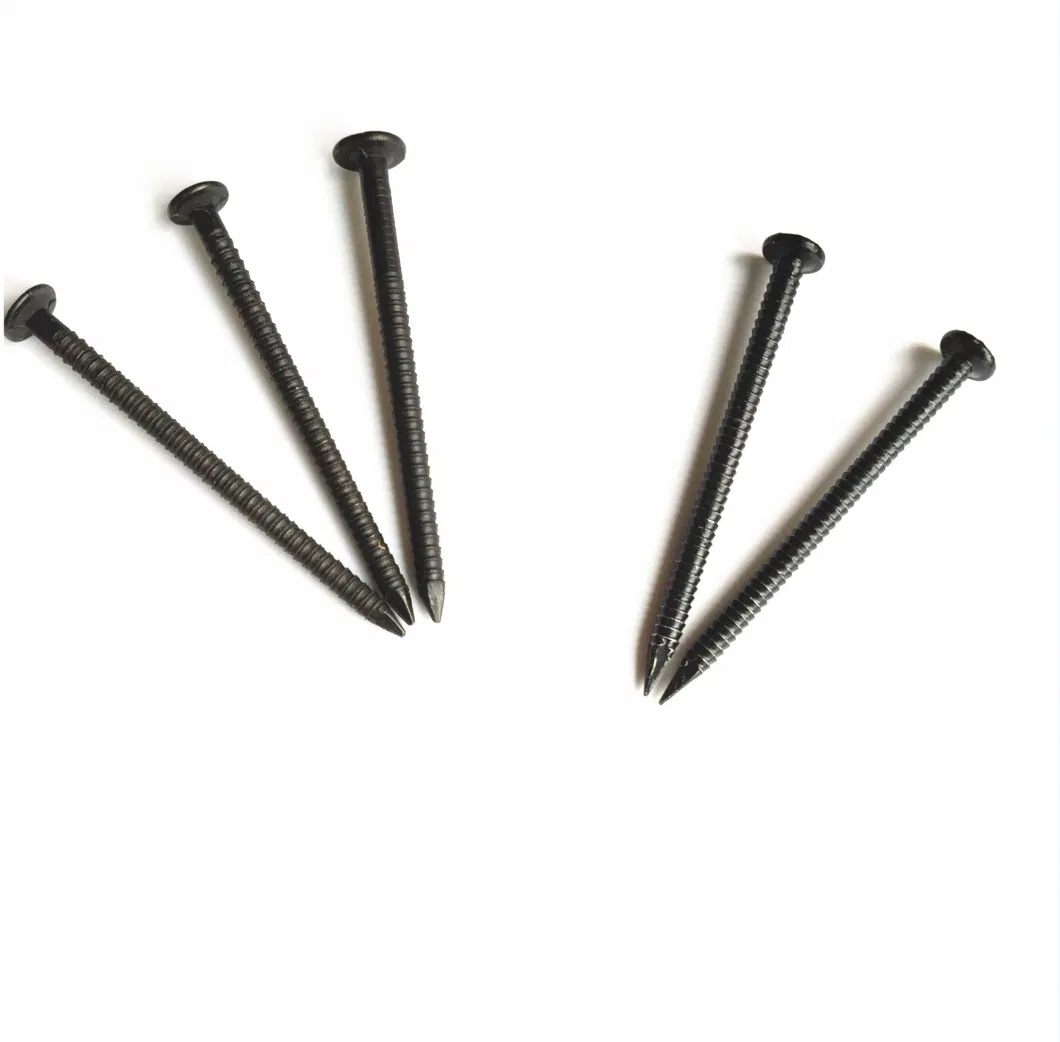 Africa Market Black Ring Shank Steel Iron Nails Manufacturer Price