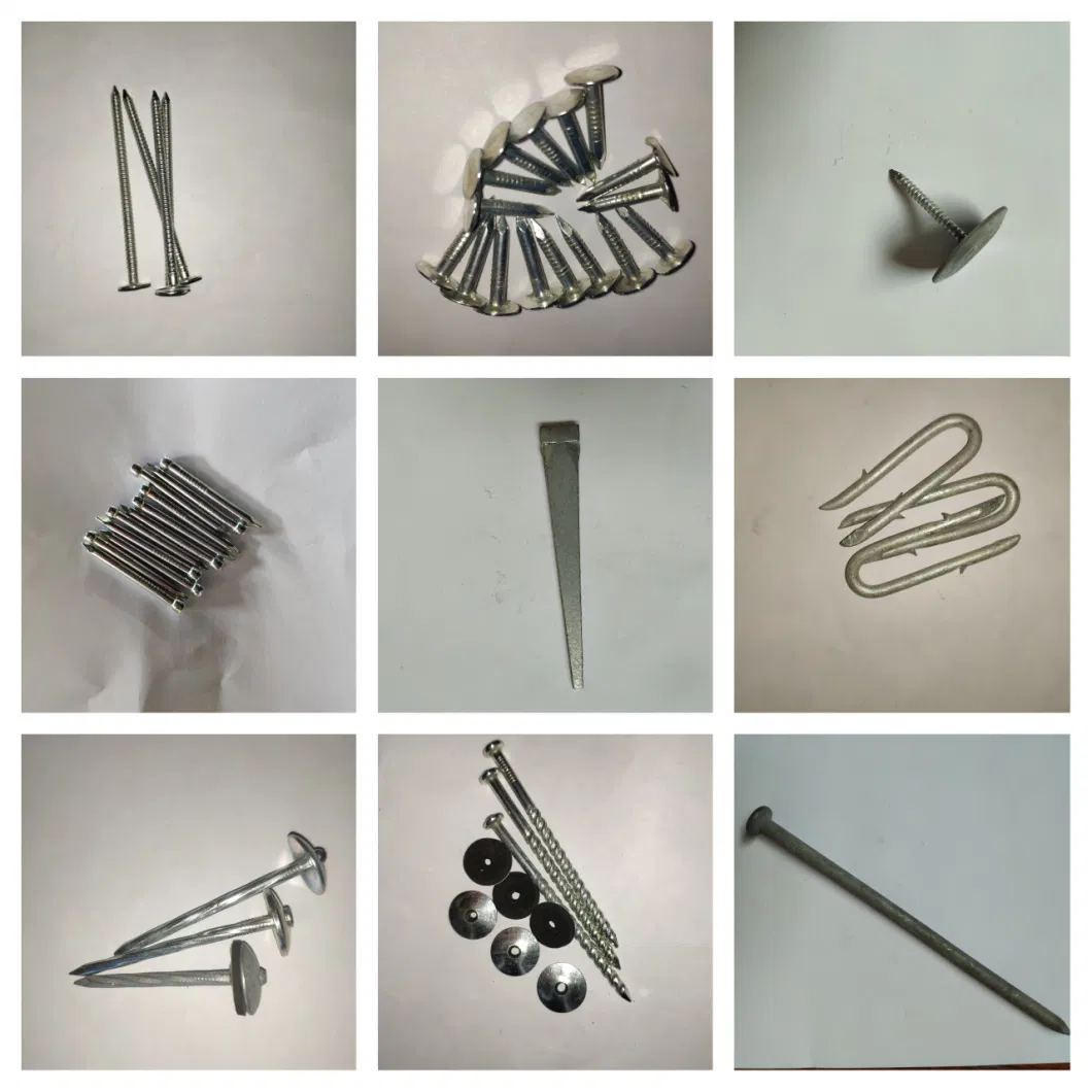 Polished Common Nail/Iron Nail/Wire Nail/Spiral Nail/Screw Nail/Twisted Nail/Pallet Nail/Framing Nail/Round Head Nail/Flat Head Nail/Wood Nail/Coil Roofing Nail