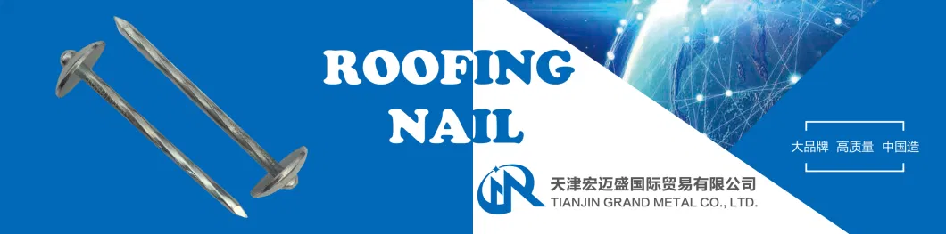 Umbrella Head Roofing Nail with or Without Washers