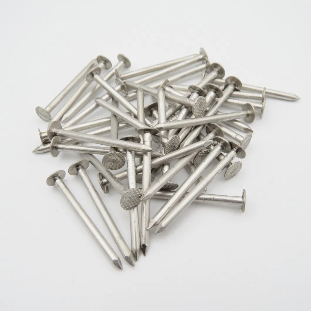 304 Stainless Checkered Head Clout Roofing Nails