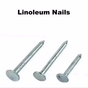 Electro/Hot Dipped Galvanized Concrete Steel Nail Wire Nail
