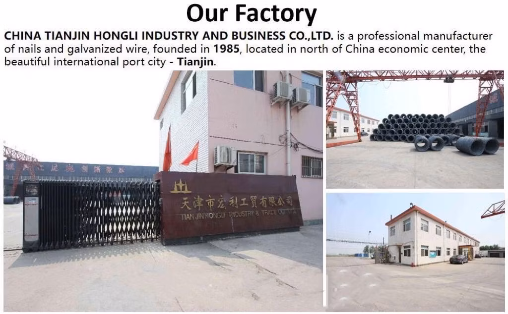 1/2&quot;-6&quot; E. G Concrete Nails/Steel Nails /Hard Nails/ Masonry Nails