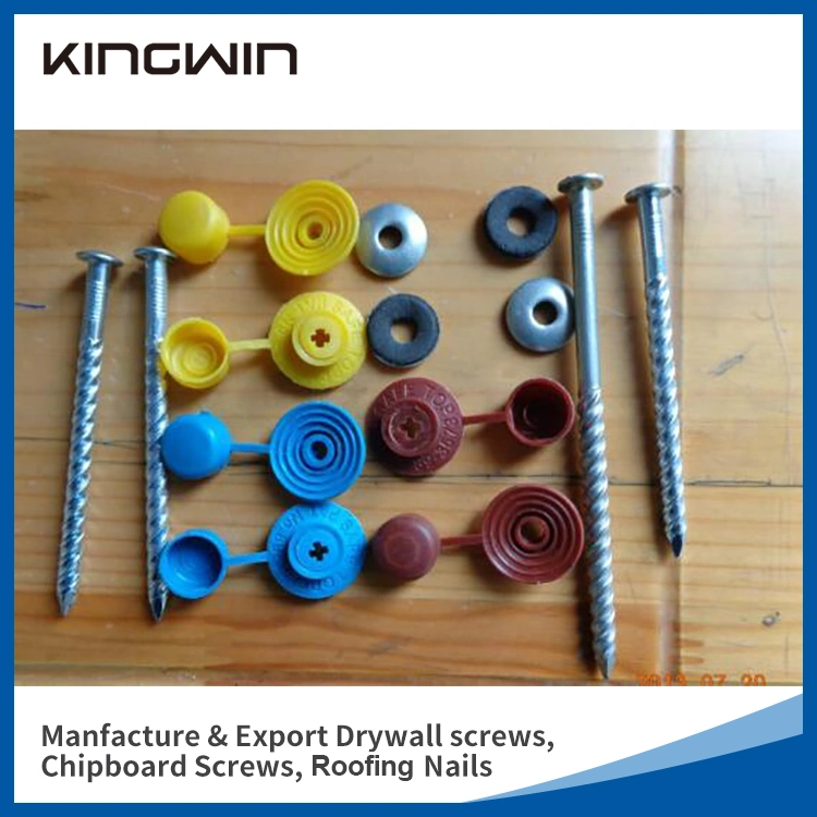 Factory Price Umbrella Head Roofing Nails