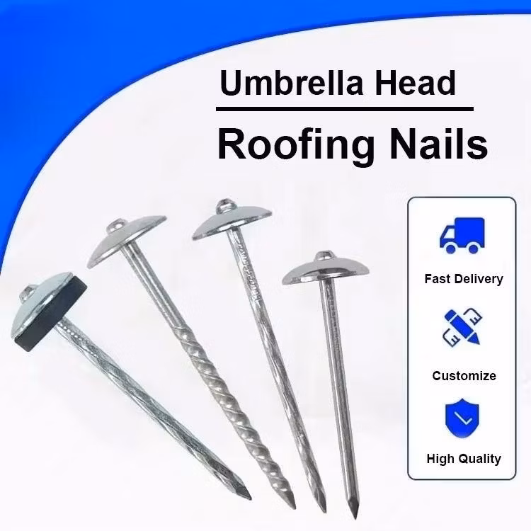 Umbrella Head Roofing Nails Hardwire Nail with Best Price