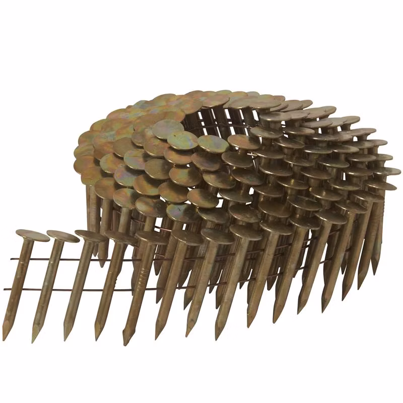 1-1/4 X. 12 Galvanized Roofing Nails with Umbrella Head