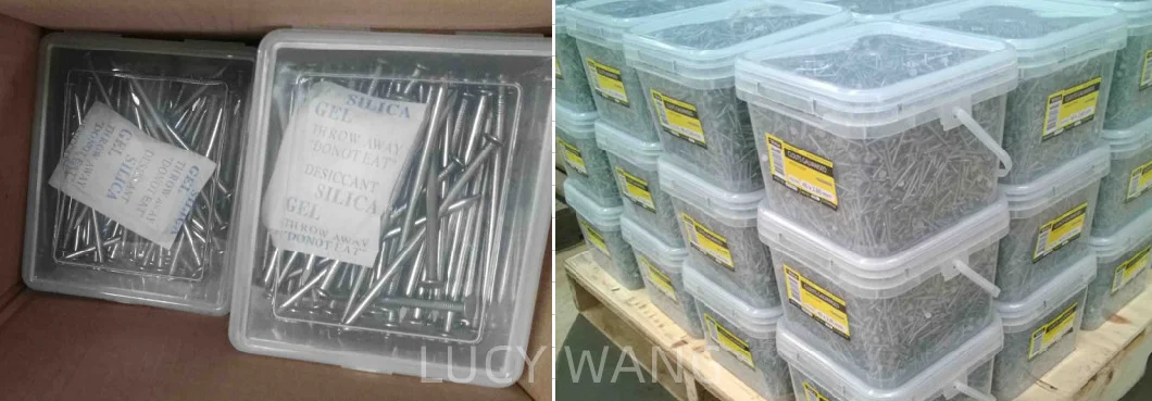 50*3.0mm Black Ring Shank Nails with 5kg Box for Africa